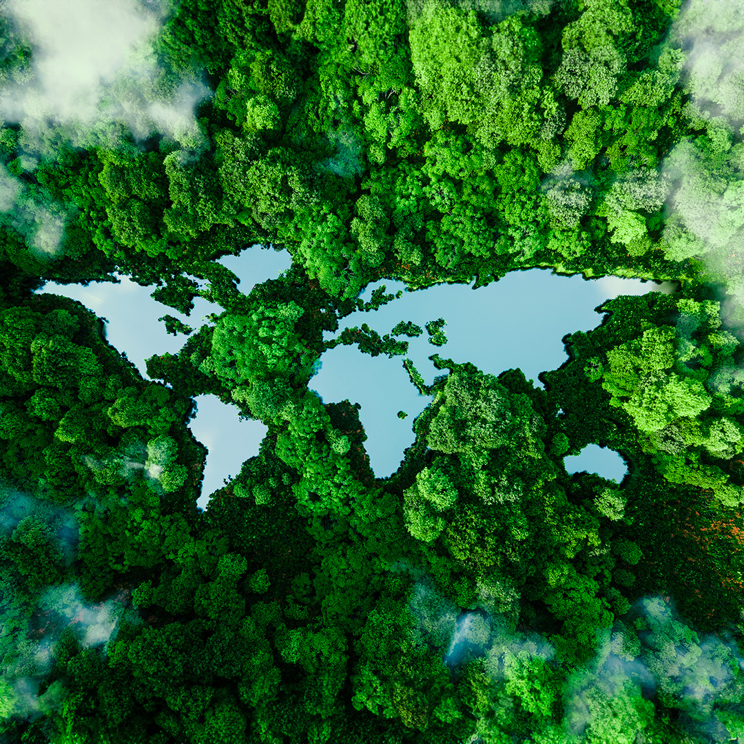 To Our Planet